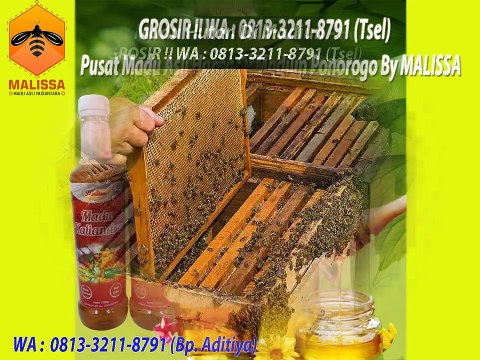 GROSIR !! WA : 0813-3211-8791 (Tsel)	Pusat Jual Sarang Madu Asli Di Madiun Ponorogo By MALISSA,