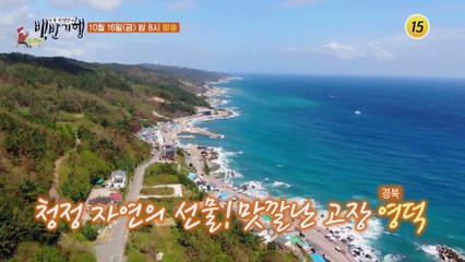 바라던 바다! 경북 영덕 밥상_허영만의 백반기행 73회 예고