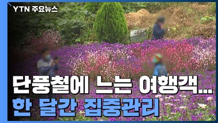 국내발생·해외 유입 확산 우려 속 단풍철까지...한 달간 집중관리 / YTN