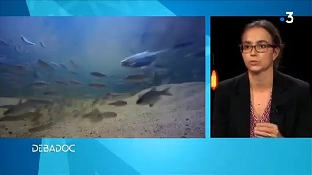 DEBADOC - Extraits des interventions de Catherine Gibaud - (DREAL Centre-Val de Loire/SEBRINAL)