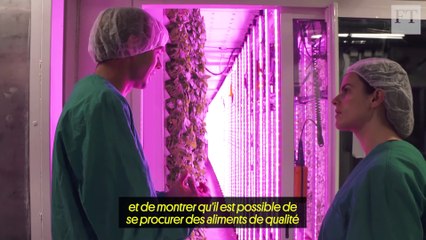 Fermes sur les toits, fraises en conteneurs : en France, une “révolution agricole” est en cours