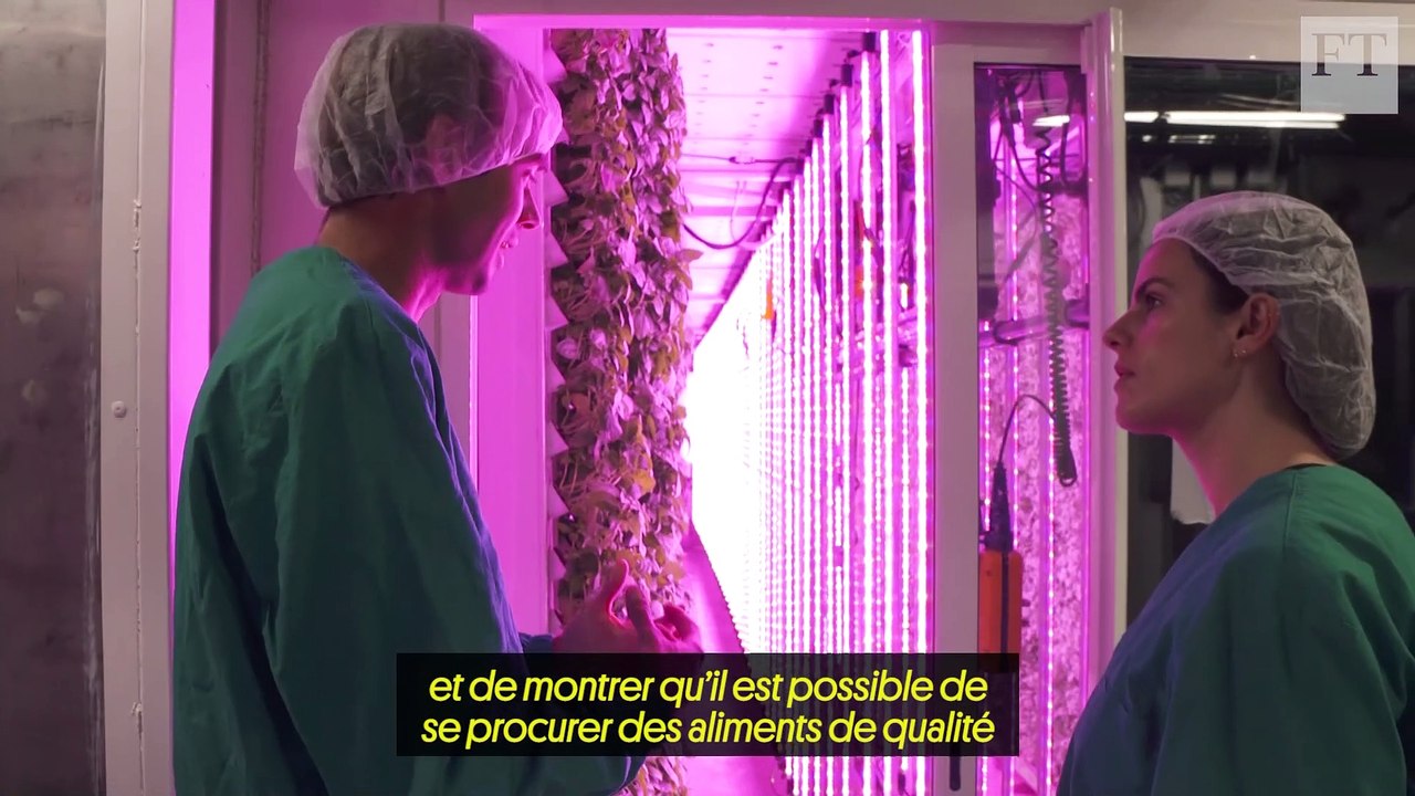 Fermes sur les toits, fraises en conteneurs : en France, une “révolution agricole” est en cours