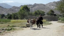 Une transition à risque en Afghanistan : le retrait des troupes américaines engendre la peur