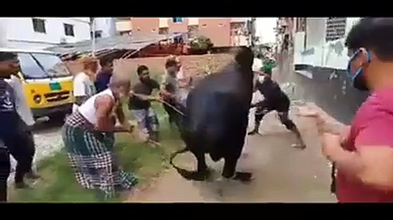 How funny