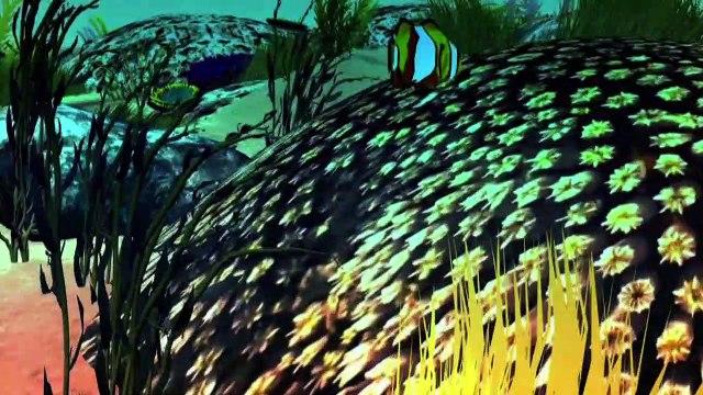 Videografik: Das Great Barrier Reef - bedrohtes Naturwunder