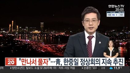 "만나서 풀자"…靑, 한중일 정상회의 지속 추진