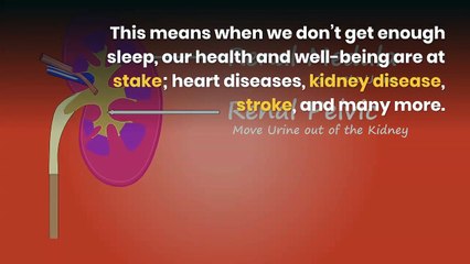 Thomas Gehrmann | Chiropractic Session for Better Sleep