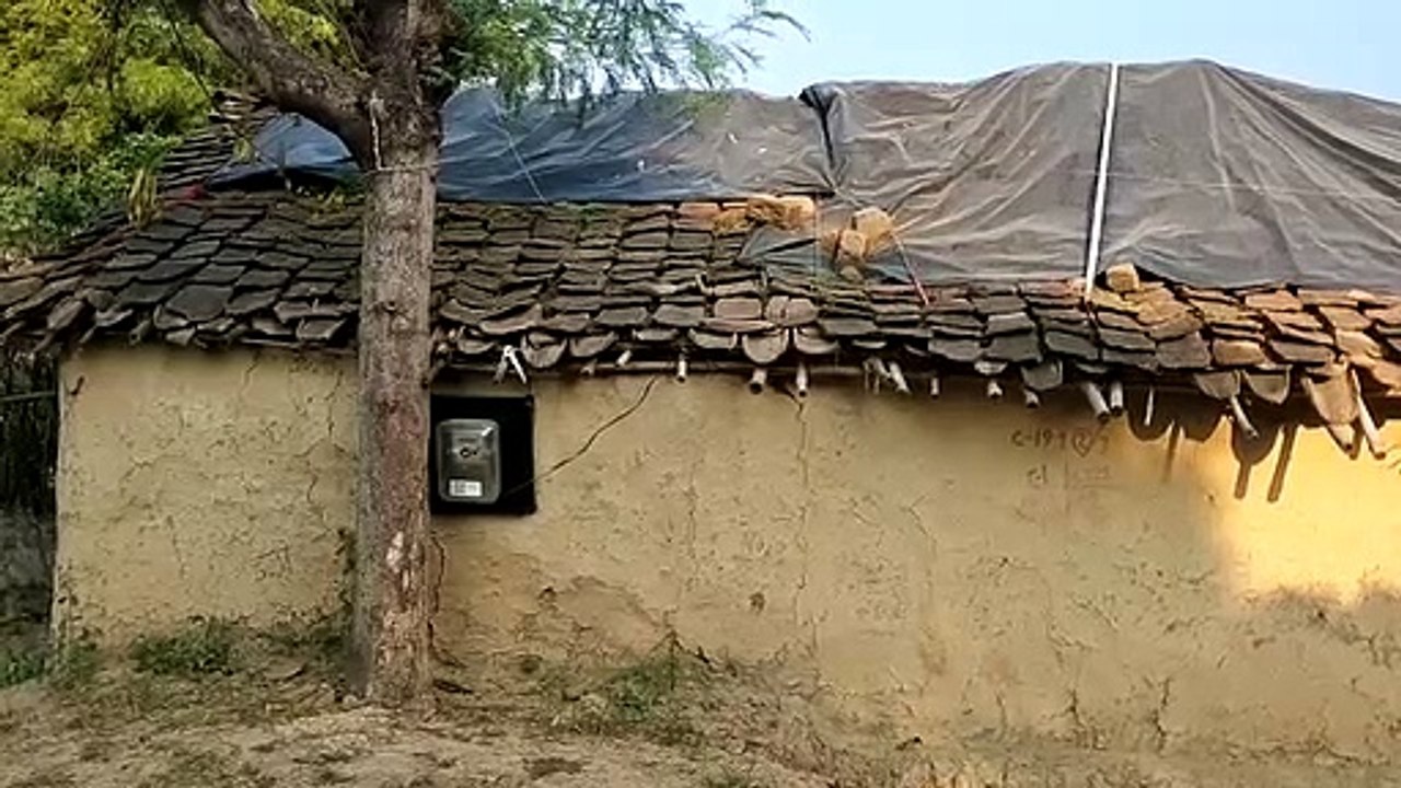 शाजापुर: ग्राम पंचायत पाडली मे पात्र हितग्राहियों को नहीं मिल रहा प्रधानमंत्री आवास का लाभ