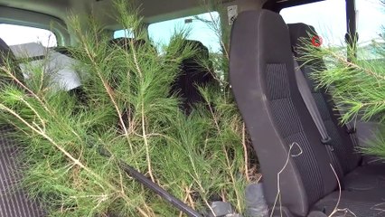 Siverek’te Hatay için hatıra fidanlığı