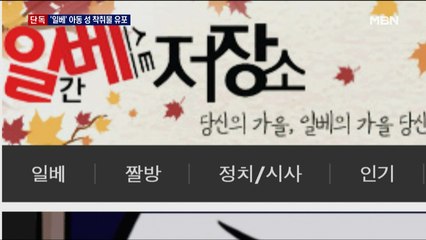 [단독] 이번엔 일베 사이트에 아동 성 착취물 유포…경찰 수사