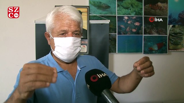 Doğu Akdeniz’e artık Kızıldeniz balık türleri hakim