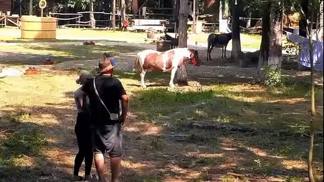 Ferma- Oraseni vs Sateni episodul 17 online 14 Octombrie 2020