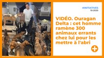 VIDÉO. Ouragan Delta : cet homme ramène 300 animaux errants chez lui pour les mettre à l'abri