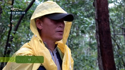 빗속을 뚫고 들어간 산속에서 만난…노란 우비?!