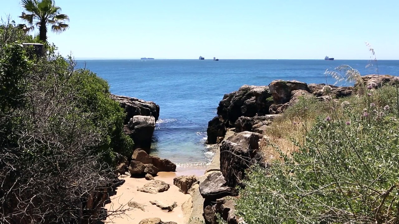 Cove Beach Coast natural beautiful royalty Free Stock no copyright video Free for commercial use dron dron aerial view