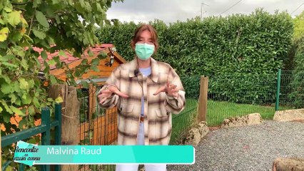 Rencontre en terrain connu 24 - 14/10/2020 -  Sauve Qui Plume