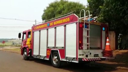 Bombeiros são chamados para capturar cão no Bairro Floresta
