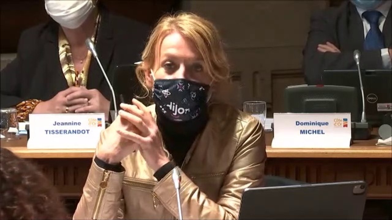 Nathalie KOENDERS. Décision budgétaire modificative n°2. Session du 13 octobre 2020