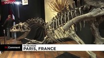 خریدار ناشناس در حراجی پاریس برای اسکلت یک دایناسور ۳ میلیون یورو پول داد