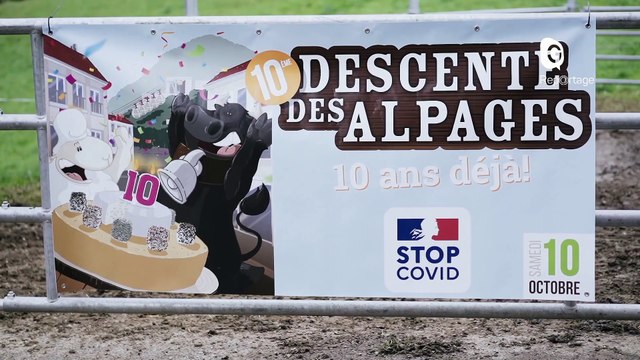 Reportage - Une descente des Alpages pas comme les autres cette année...