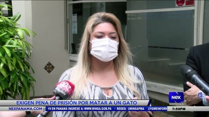 Exigen pena de prisión por matar a un gato  - Nex Noticias
