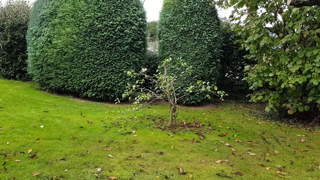 Après midi au jardin
