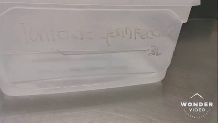 3. Proceso de limpieza y desinfección de los granos