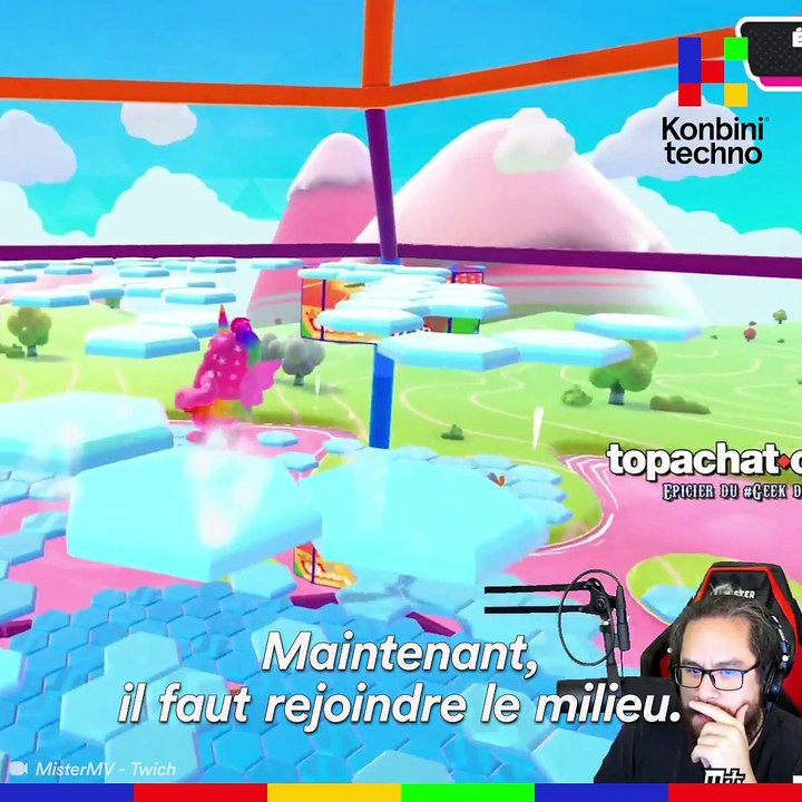 La folle histoire de Fall Guys