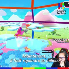 La folle histoire de Fall Guys