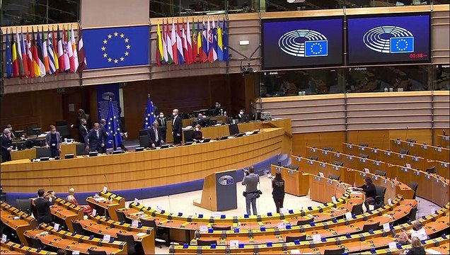 Белорусская оппозиция удостоилась премии за свободу мысли им. Сахарова