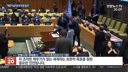 "미국, '핵무기금지조약 비준 말라' 다른나라 압박"