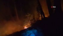 Manavgat'ta ormanlık alanda yangın