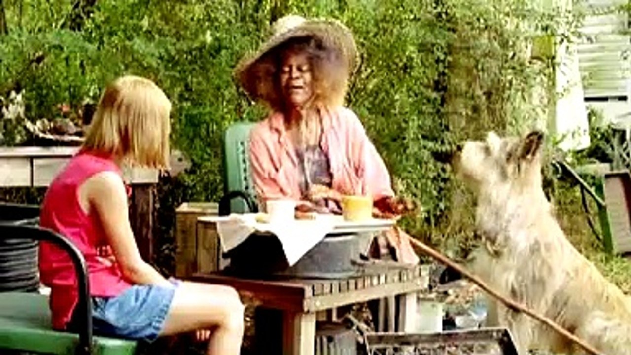 Winn-dixie trailer (2005)