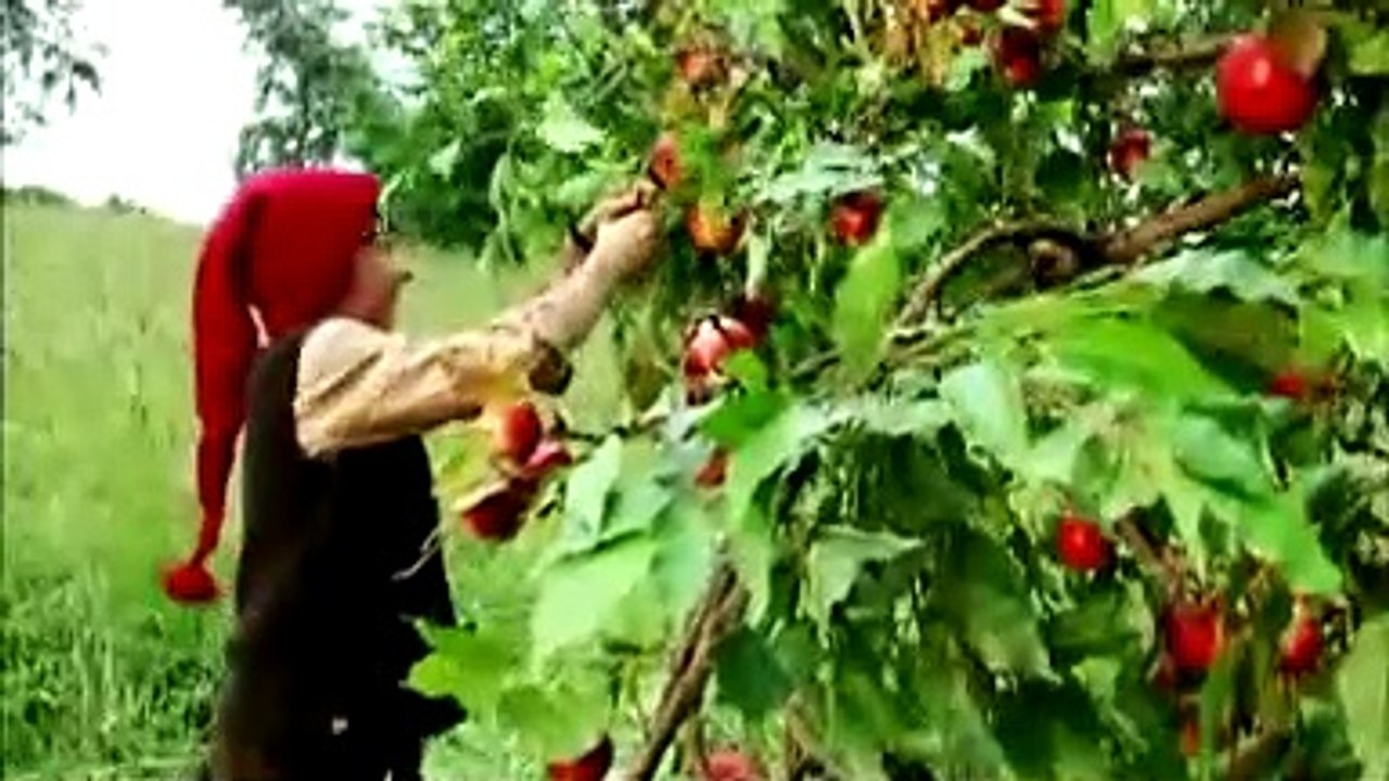 Räuber hotzenplotz film trailer (2006)