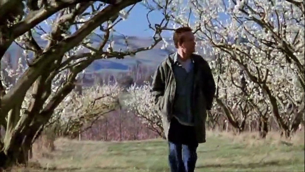 Als Das Meer Verschwand Film Trailer (2006)