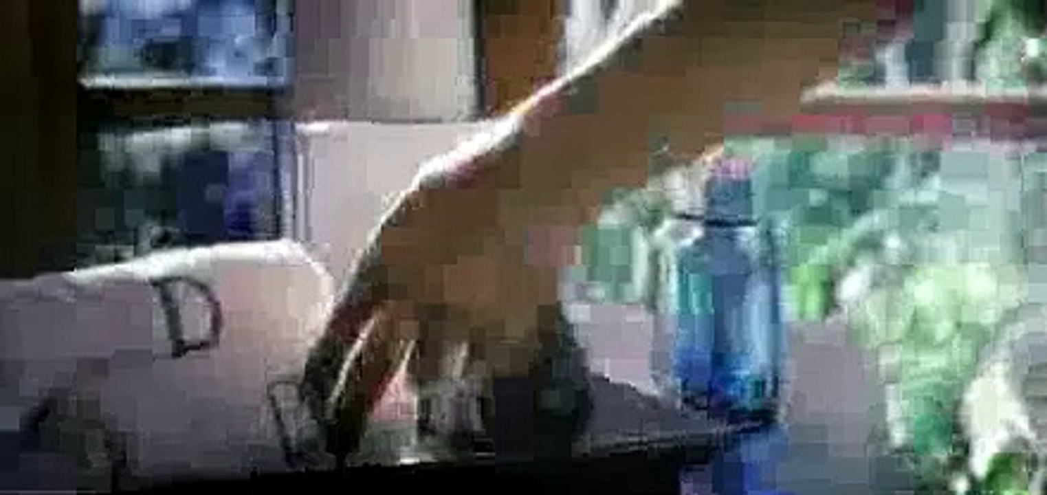 Trailer zum Film Don (2007)