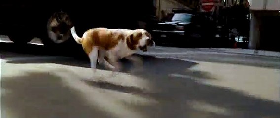 Underdog - Unbesiegt weil er fliegt Ausschnitt 4 (2008)