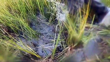 US Election:What are the candidates' promises on climate change?