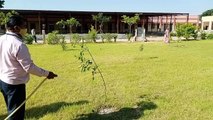 सरकारी स्कूल बन रहे मिशाल, शिक्षकों के लिए डे्रस कोड और स्कूल परिसर को मेहनत उद्यान के रूप में खिल रही मेहनत