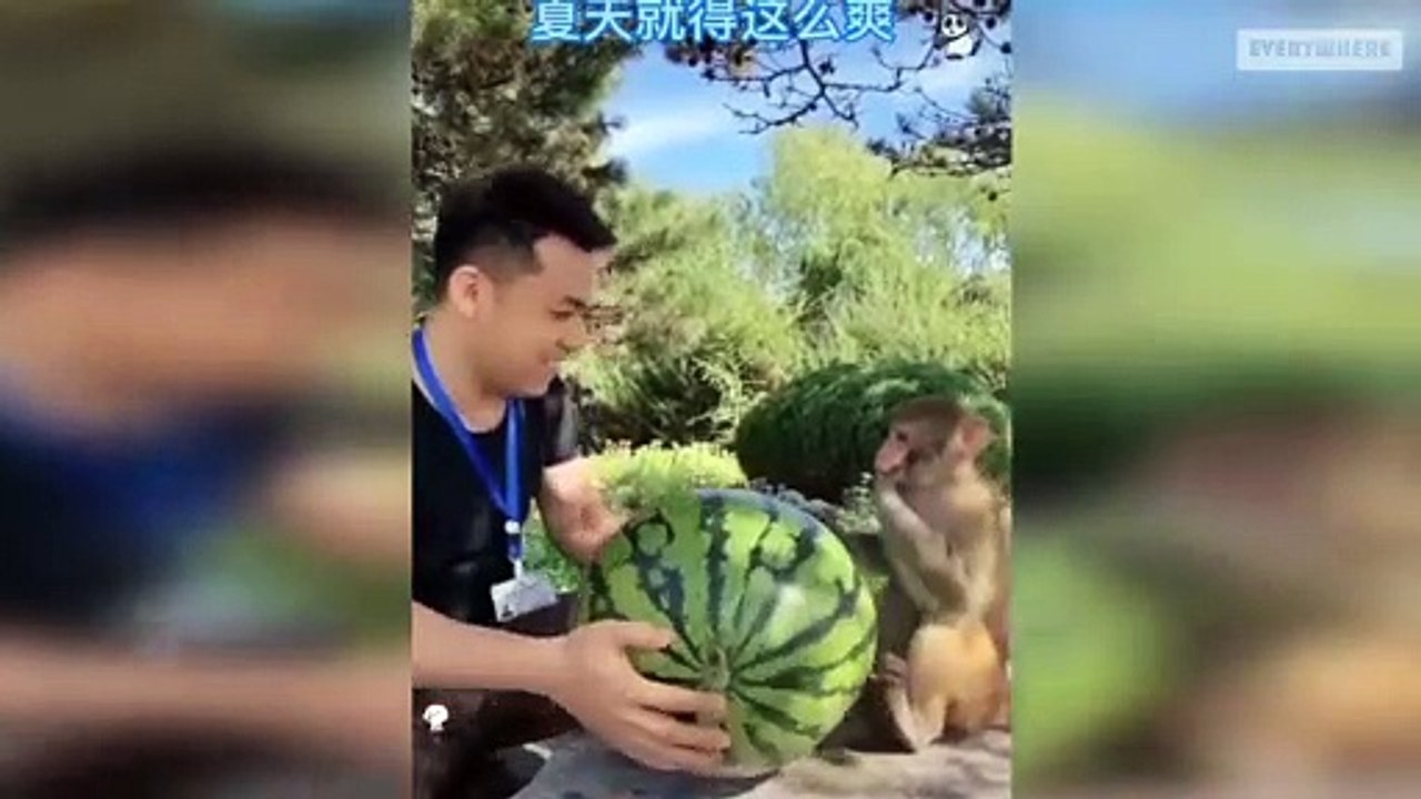 just for laugh N°  31