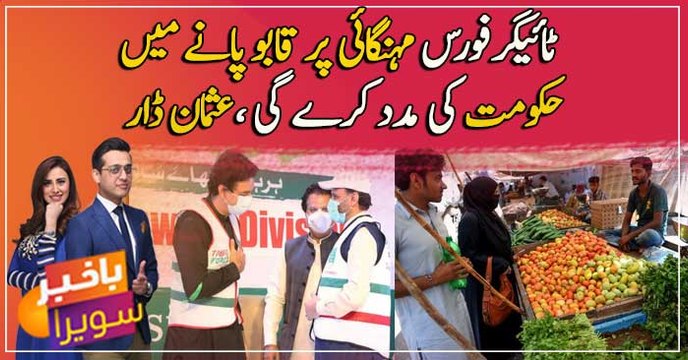 Tiger Force will assist govt to overcome inflation: Usman Dar