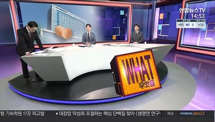 [사건큐브] 달걀 훔친 '코로나 장발장' 징역 0년 0월 선고