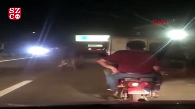 Deveyi kamyonetin arkasına bağlayıp kilometrelerce koşturdu