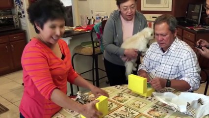 Surprise Pregnancy Announcement Compilation (Part 4)