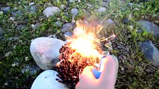 Amazing, Experiment, Fidget Spinner  ,1000 Sparklers