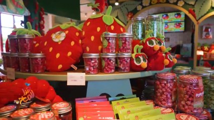 من حقل صغير لإمبراطورية ضخمة..تعرف على قصة ملك الفراولة في ألمانيا