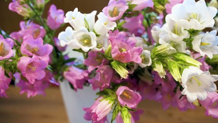 Best Of semaine DD - Havas Group