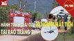 Huy động 2 trực thăng để giải cứu 30 người mất tích tại Rào Trăng 3 | Giao thông 24/7