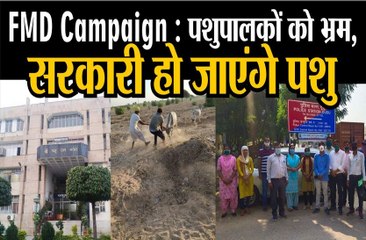 पशुपालन विभाग का एफएमडी अभियान बना परेशानी