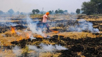 Download Video: Punjab ground report: 280% rise in stubble burning since 2019